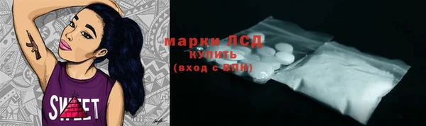 PSILOCYBIN Алзамай