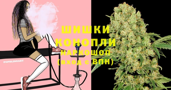 PSILOCYBIN Алзамай