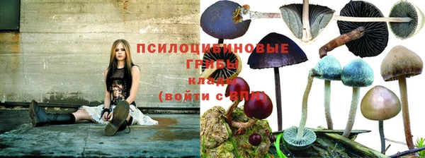 МДПВ Абинск