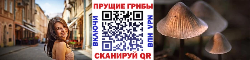 Галлюциногенные грибы Magic Shrooms гидра tor Ладушкин что такое наркотик
